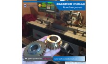 Customized Brass Worm Gear Customized Brass Worm Gear