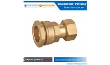 China OEM brass plumbing fittings plumbing coupling water heating fitting