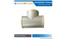 Hot selling quick coupling high pressure hydraulic metric copper plumbing pipe fittings Hot selling quick coupling high pressure hydraulic metric copper plumbing pipe fittings