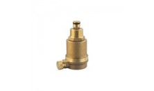 High quality brass air exhaustingvalve bsp thread with non-return valve