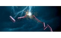 US stocks are blown! Suddenly: the second fuse in US stock history  US stocks are blown! Suddenly: the second fuse in US stock history